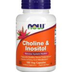Now Choline & Inositol 100 Cap