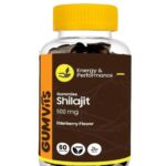 Gumvits Shilajit Gummies 500mg 60 Ct